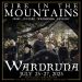 Wardruna Fire In The Mountains 2025 poster
