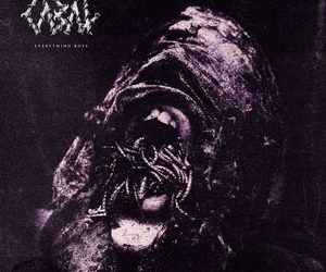 Cabal Everything Rots cover