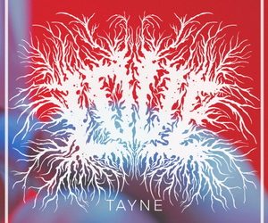 Tayne Love cover