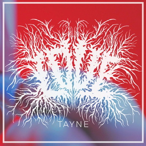 Tayne Love cover