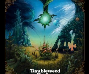 Tumbleweed Dealer Dark Green cover