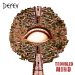 Derev Troubled Mind cover