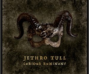 Jethro Tull Curious Ruminant cover