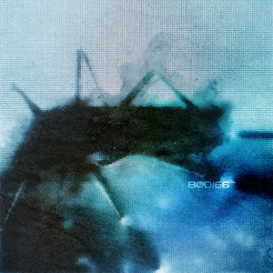 Thornhill Bodies cover