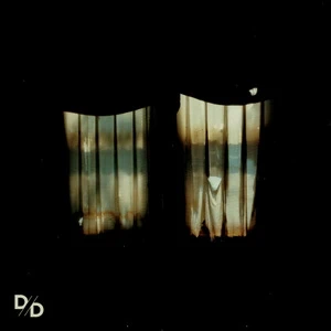 Divide And Dissolve Insatiable cover