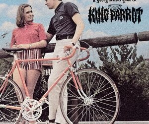 King Parrot A Young Person’s Guide To cover