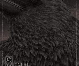 Signeri self-titled debut album cover