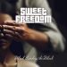 Sweet Freedom Blind Leading the Blind cover