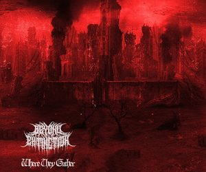 Beyond Extinction Where They Gather cover