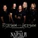 Flotsam And Jetsam band