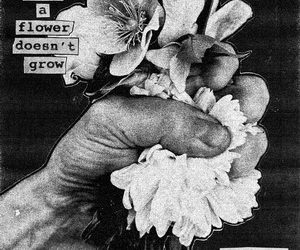 Softcult When a Flower Doesn’t Grow cover