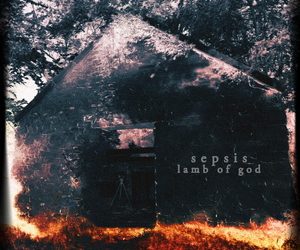 Lamb Of God Sepsis single cover