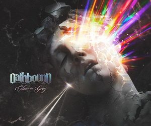 Oathbound Colors in Grey cover