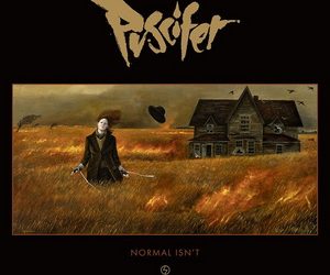 Puscifer Normal Isn’t cover