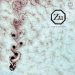 Zu Ferrum Sidereum cover