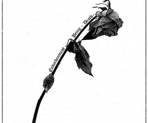Speglas Endarkenment, Being & Death cover