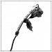 Speglas Endarkenment, Being & Death cover