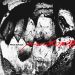 Poison The Well Peace in Place cover