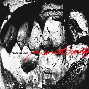 Poison The Well Peace in Place cover