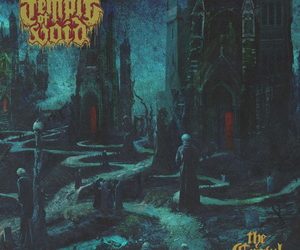Temple Of Void The Crawl cover