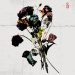 Shinedown EI8HT cover