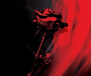 Foreign Film A Love Letter cover
