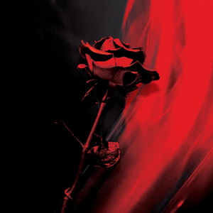 Foreign Film A Love Letter cover