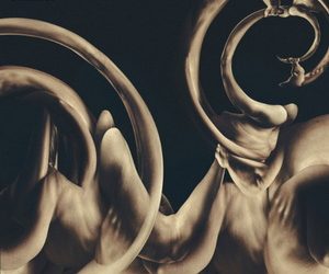 Siamese Dissolution cover