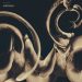 Siamese Dissolution cover