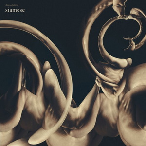 Siamese Dissolution cover