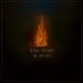 Wailin Storms The Arsonist cover