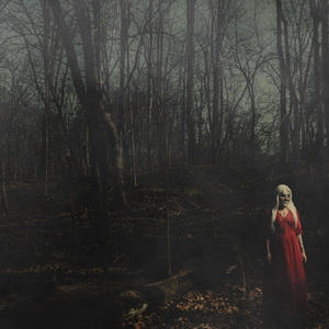 156/Silence From a Distance cover