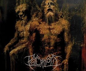 Psycroptic The Pulse of Annihilation cover