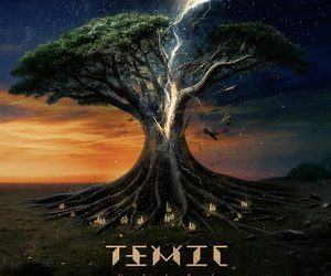 Temic Ceiba cover