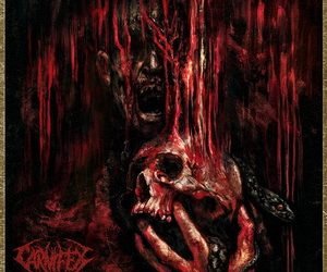 Carnifex More Than Misery cover