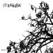 TAKiDA Numbers cover