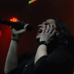 Sirenia photo