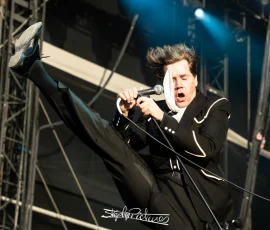 The Hives